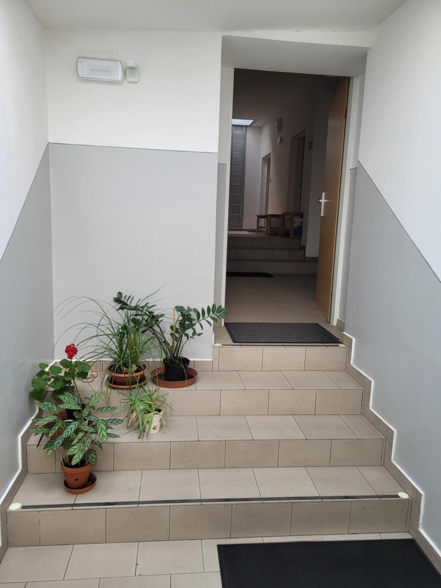Pod Strechou Apartment Svoboda nad Upou Exterior photo